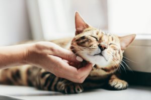 심*성 이미지