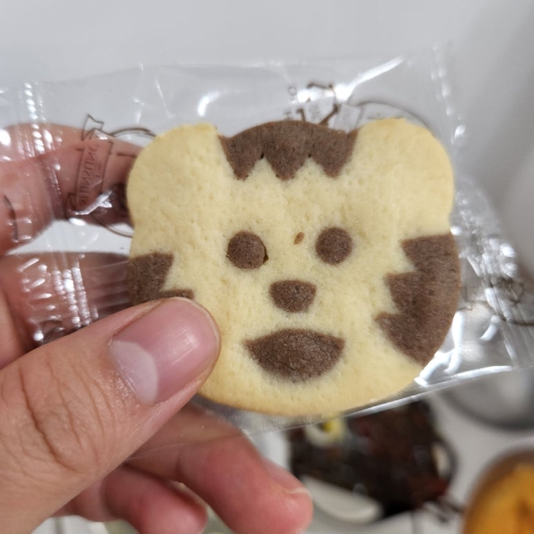 아이디쿨 이미지