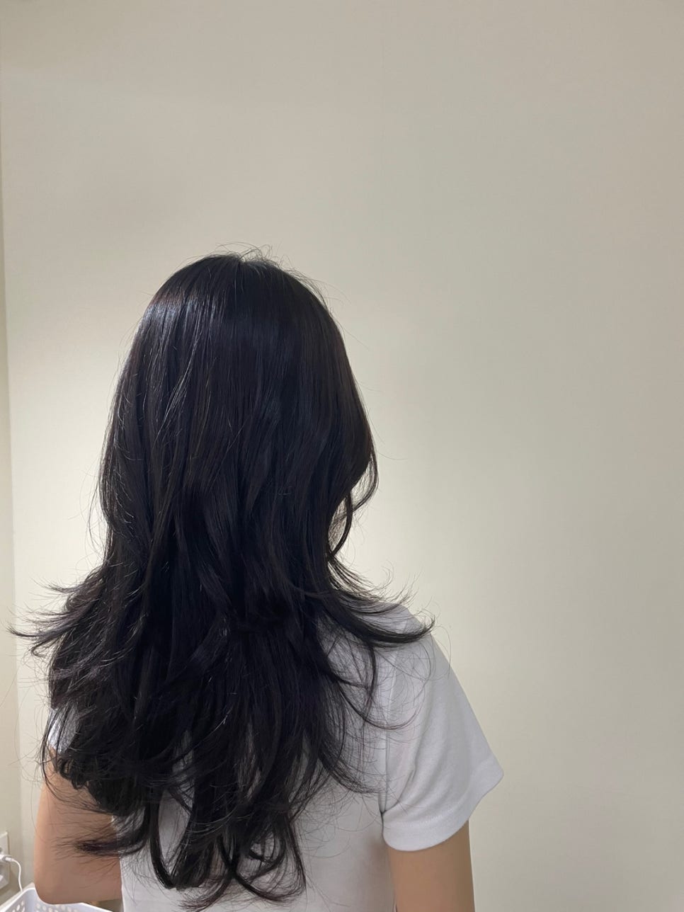 공드린헤어 이미지