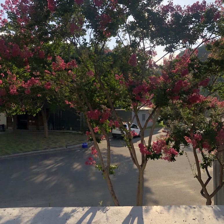 성주식육점 이미지