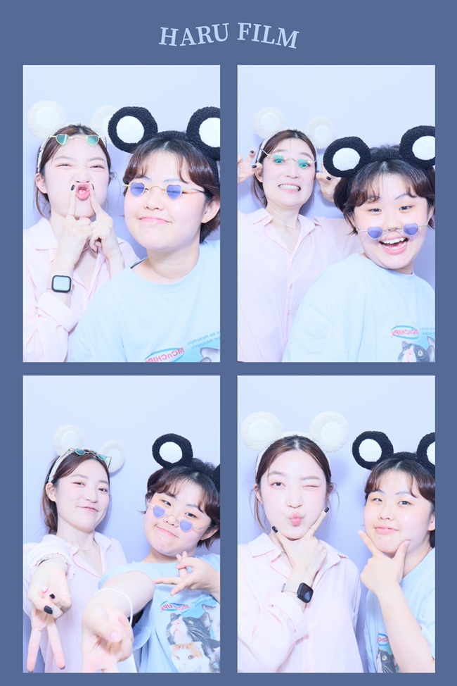 씨더 이미지