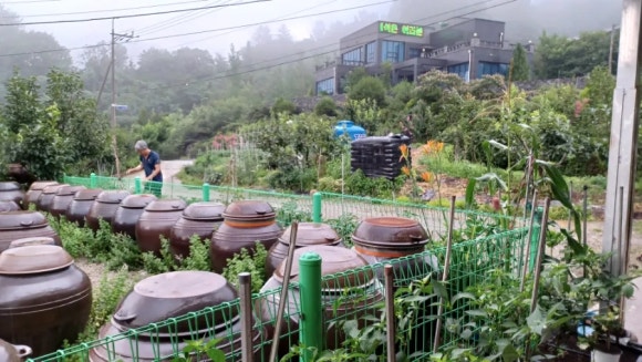 지리산 칠선계곡 토속식품 이미지