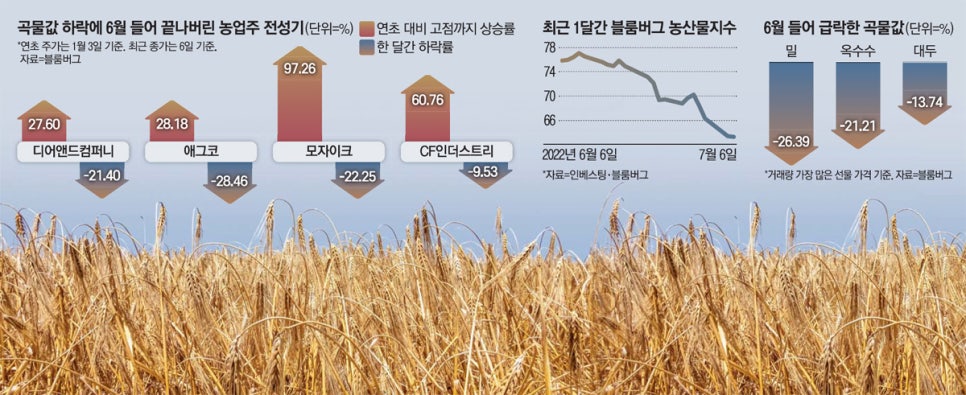 개미컴퍼니 이미지