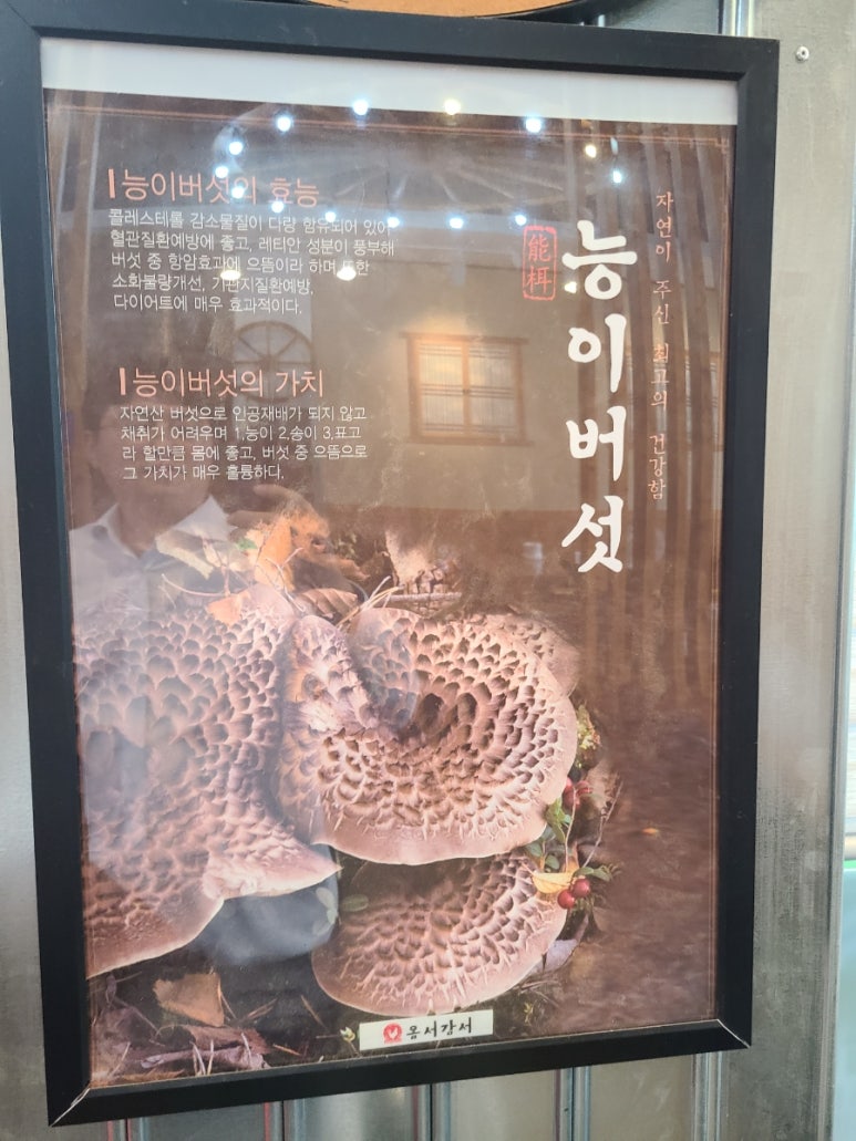 오늘도옴서감서 이미지