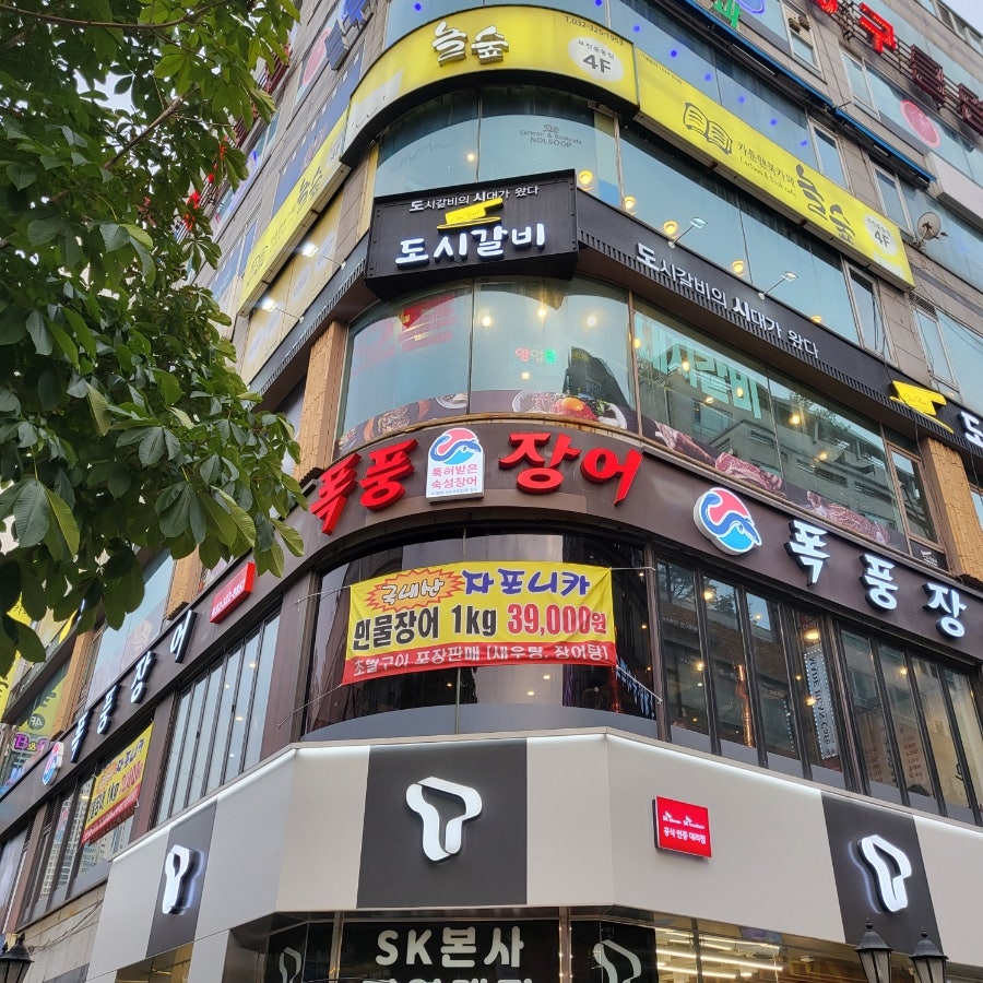 폭풍장어중동 이미지