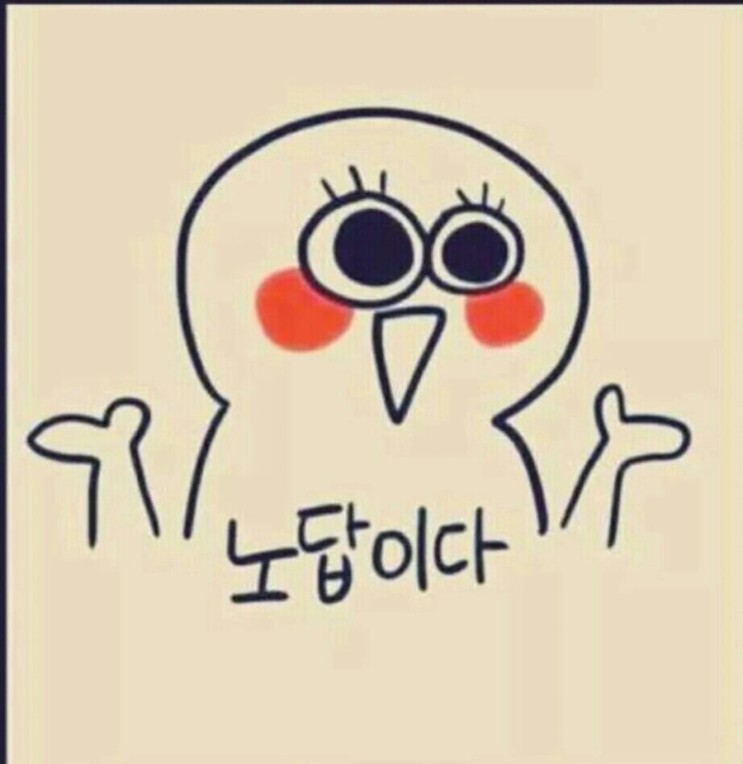 찐 하루살이 이미지
