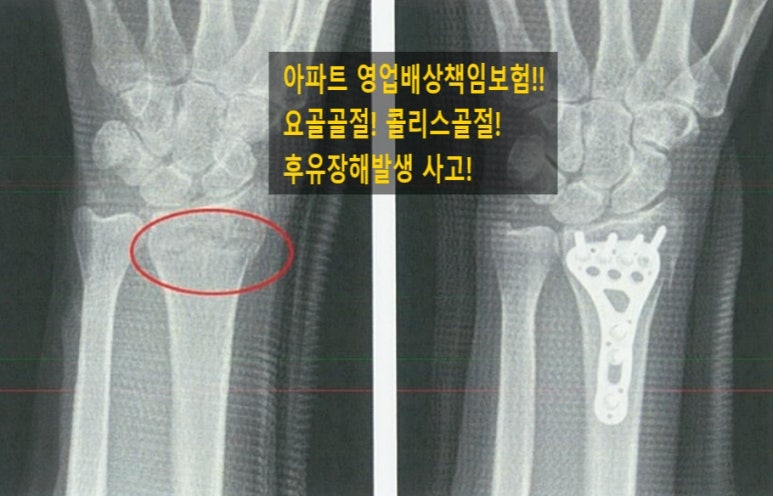 장원손해사정행정사사무소 이미지