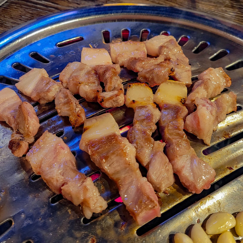 도둑고기임학점 이미지