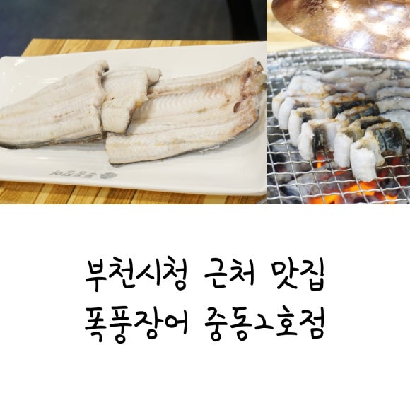 폭풍장어중동 이미지