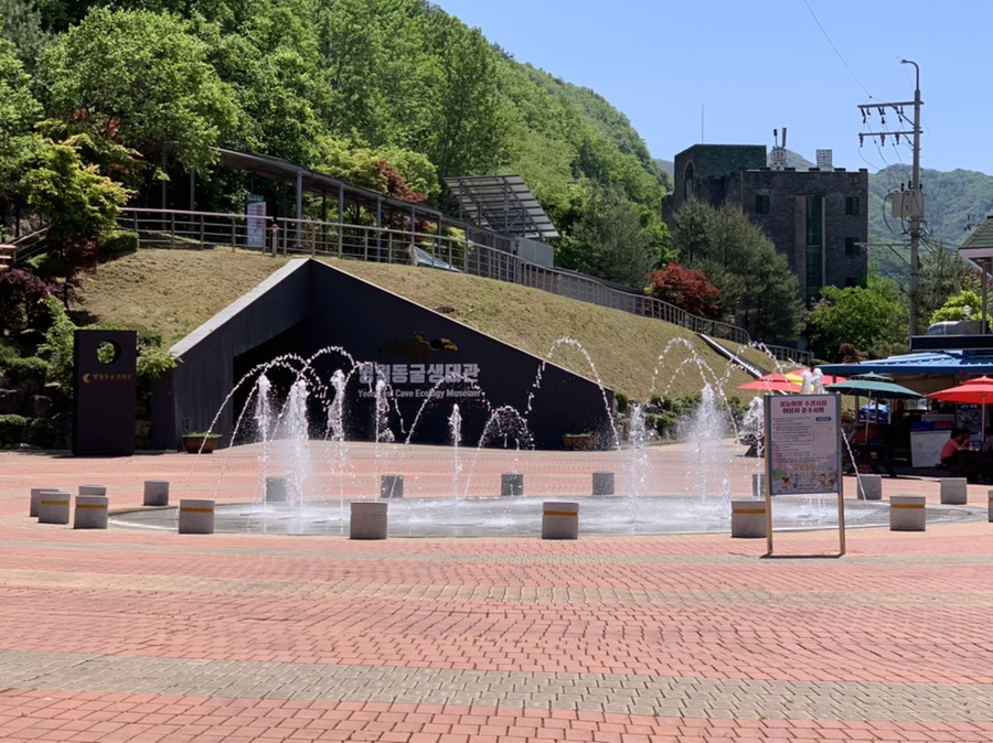 영월칡냉면 이미지