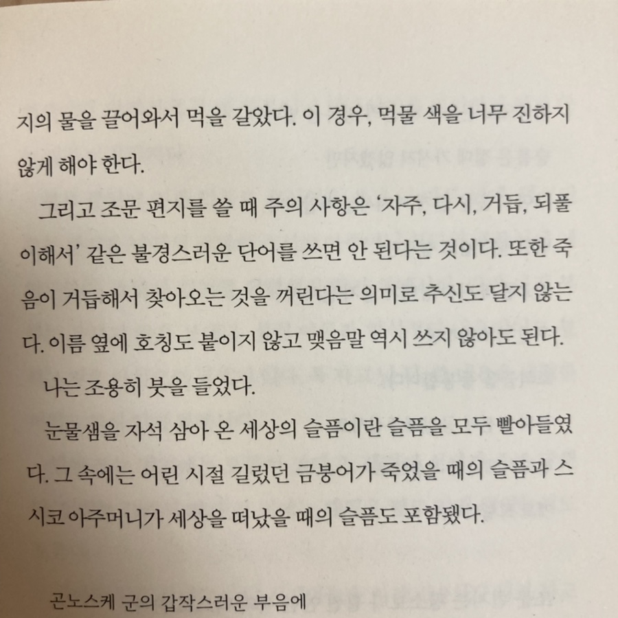 비둘기문구점 이미지