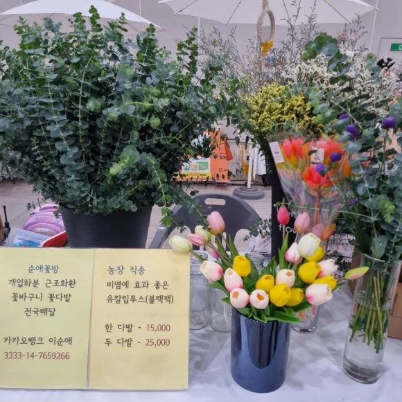순애꽃방 이미지
