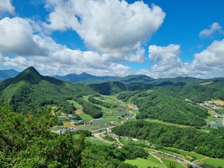 진부(오대산)관광농원 이미지