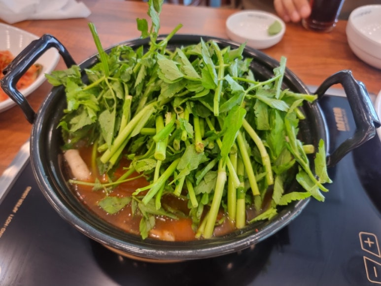 등촌샤브칼국수용화점 이미지