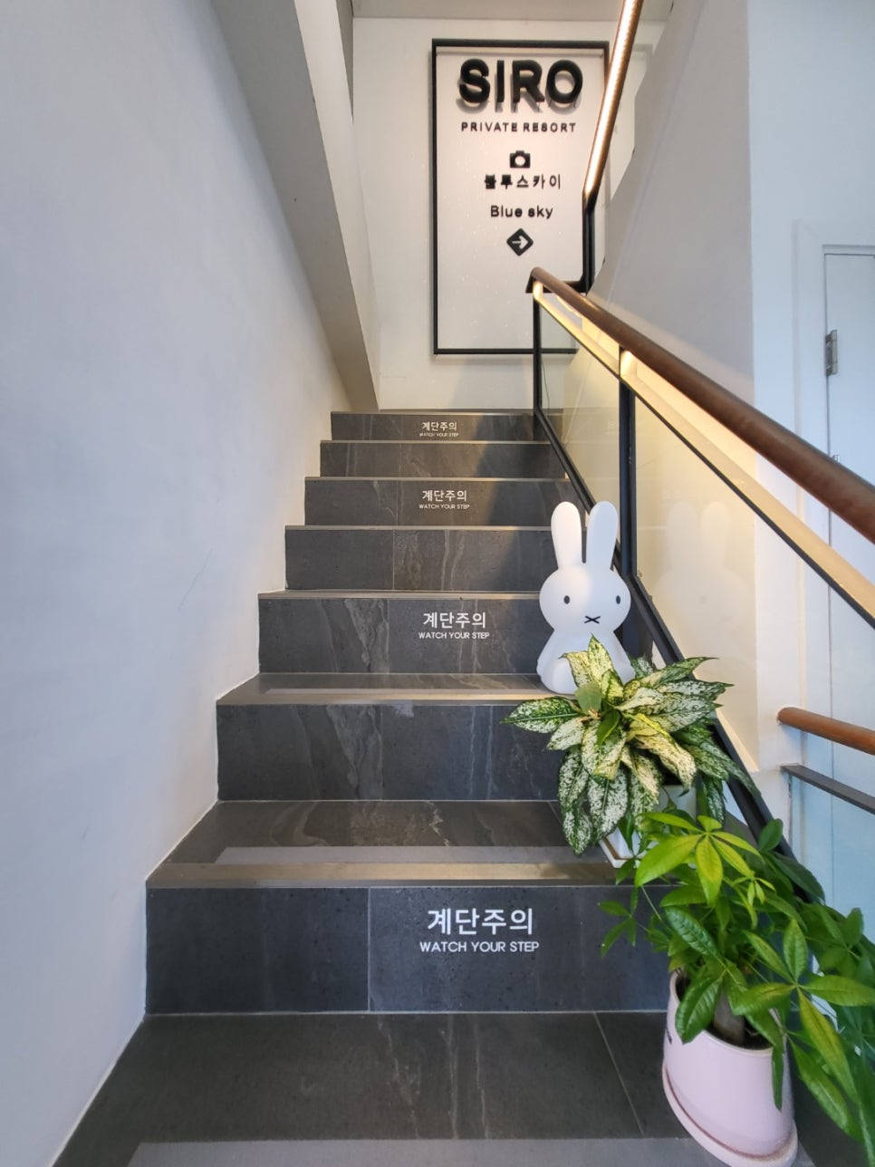 Cafe Siro(카페 시로) 이미지