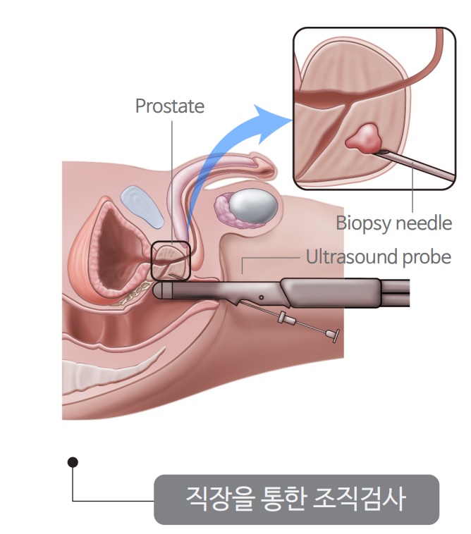 해우비뇨의학과 이미지