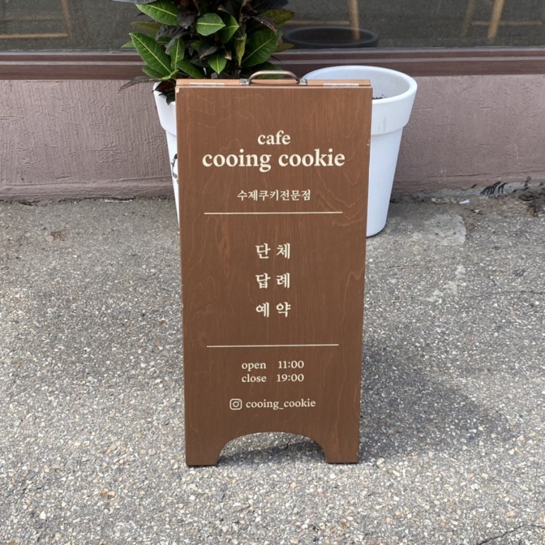 쿠잉쿠키 이미지