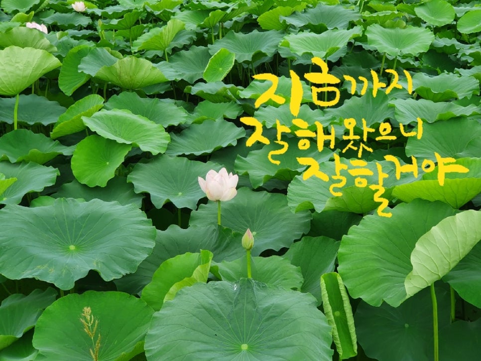 배터지게 먹소 이미지
