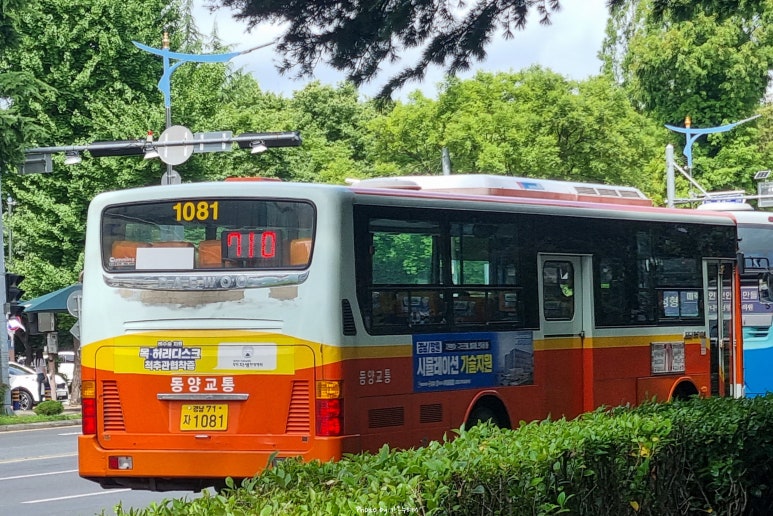 주공도매마트 이미지