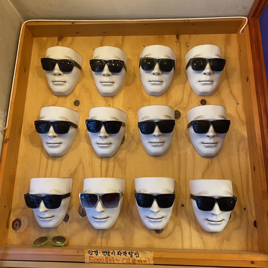브랏트 이미지