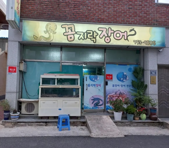 꼼지락장어 이미지