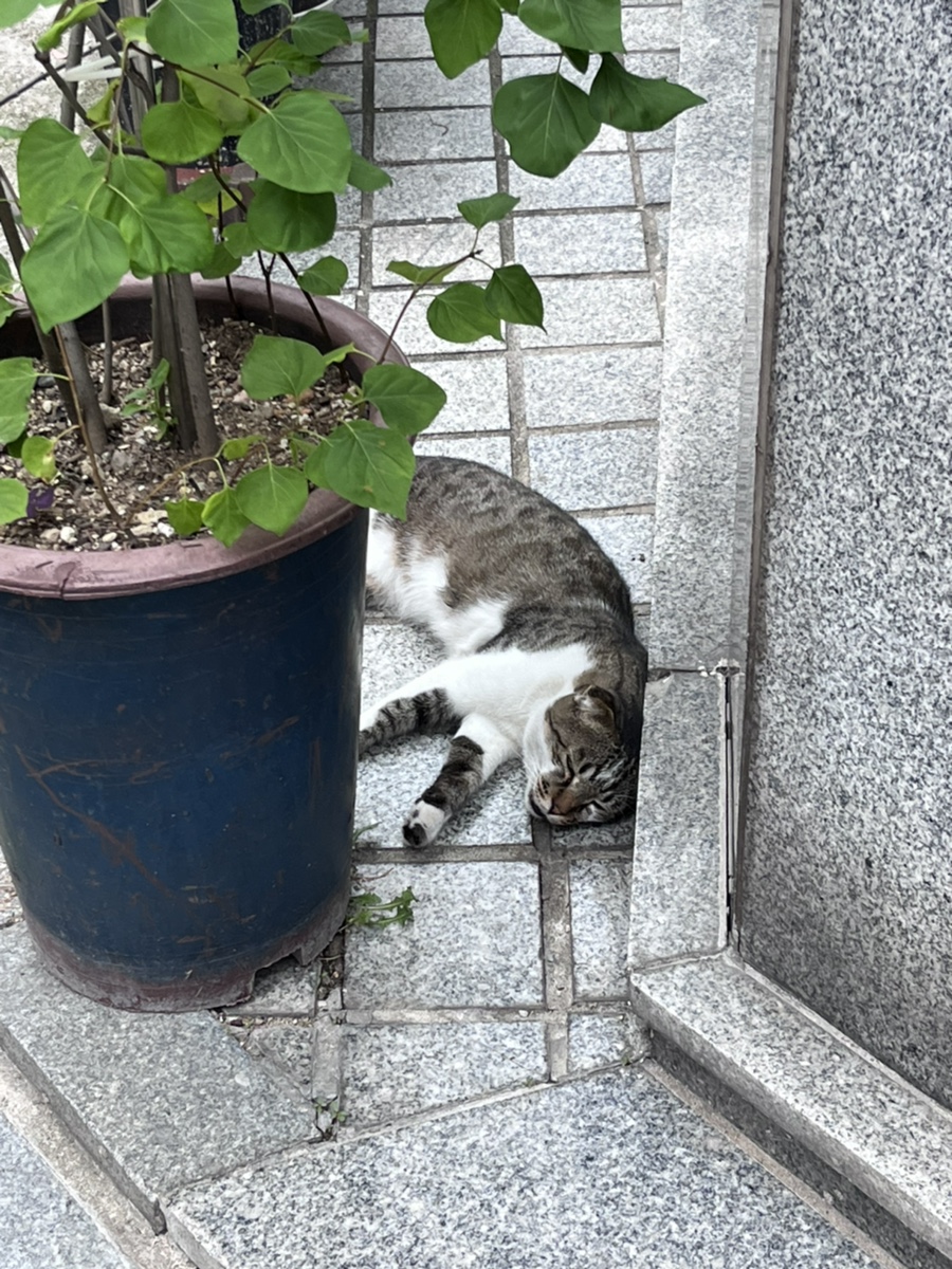 예하네일 이미지
