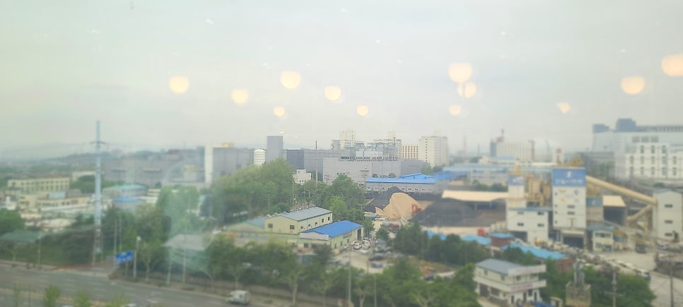 챠이797 이미지