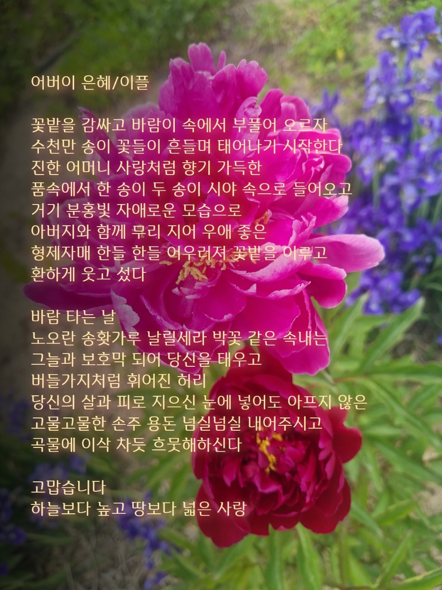 은혜의뜨락 이미지