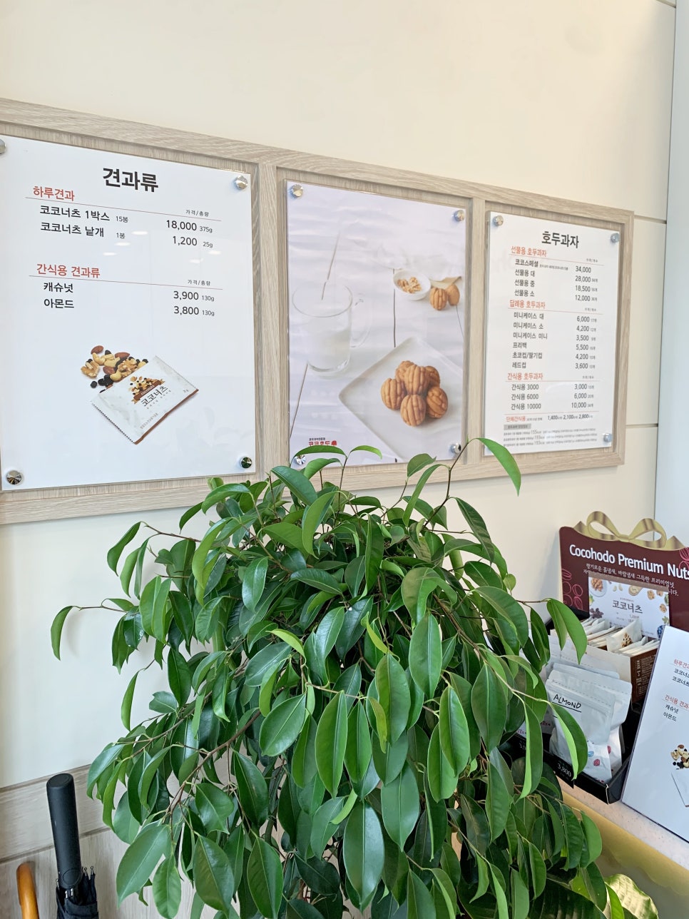코코호도율하점 이미지
