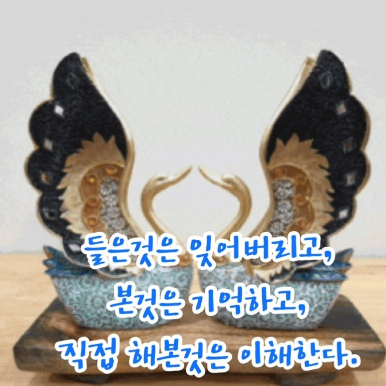 계륵 이미지