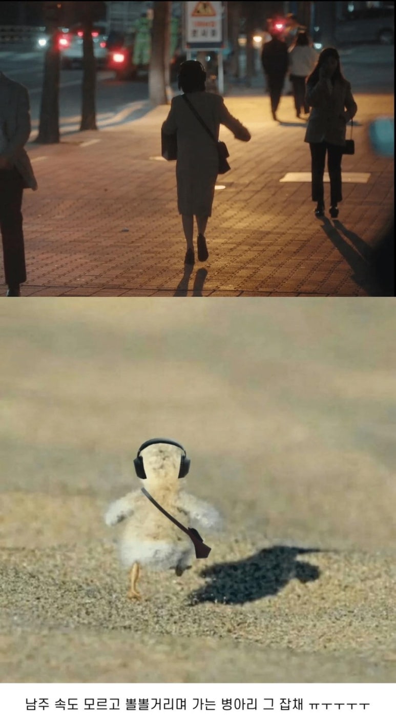 하늘솜사탕 이미지