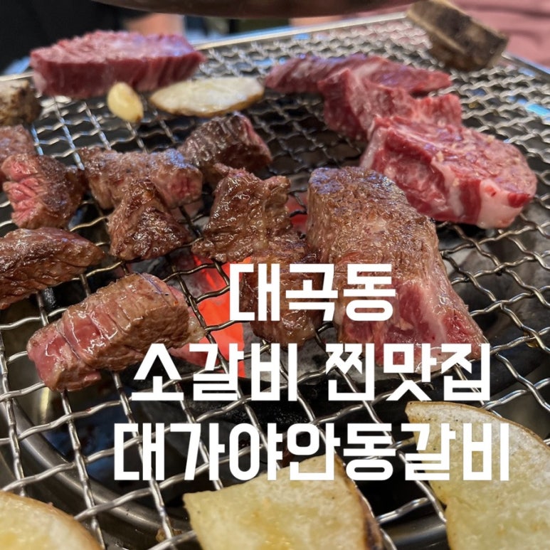 대가야안동갈비 이미지