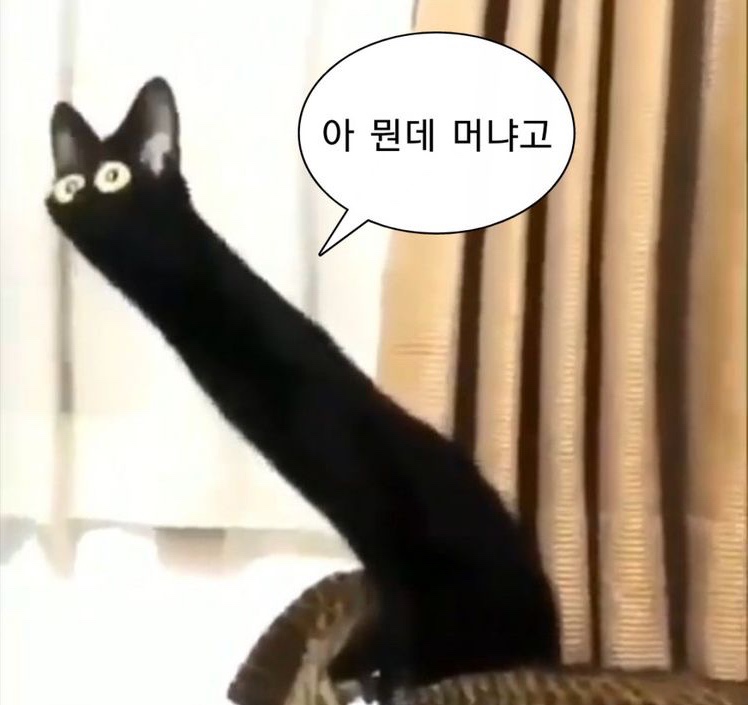나인걸 이미지