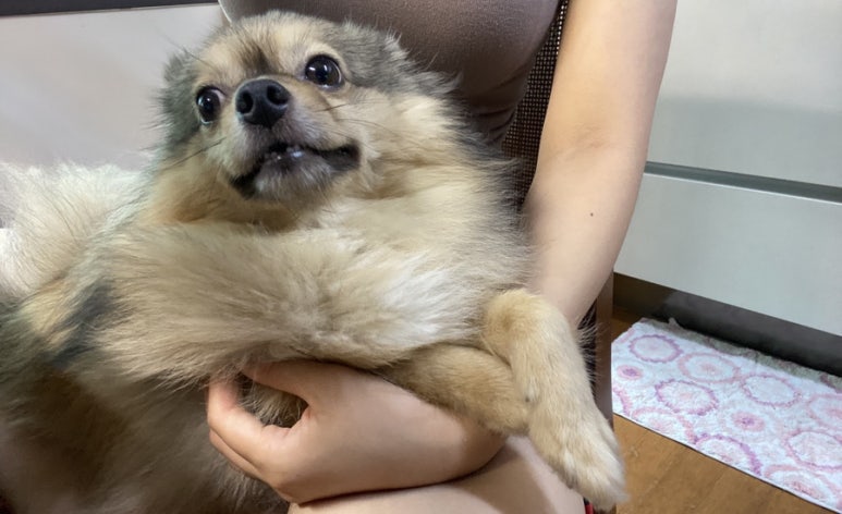 7월7일치과의원 이미지