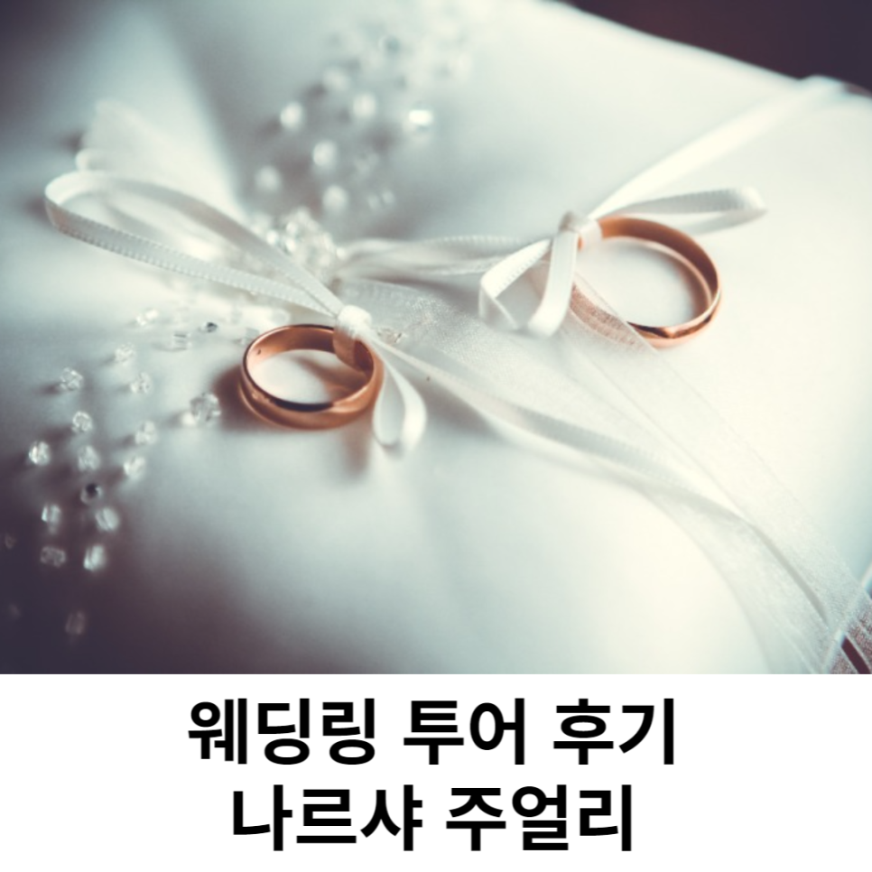 나르샤 투어 이미지