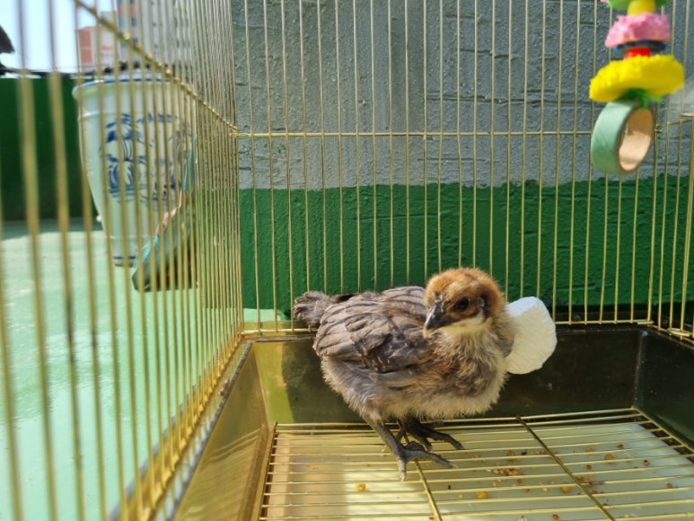 화곡중앙시장협동조합 이미지