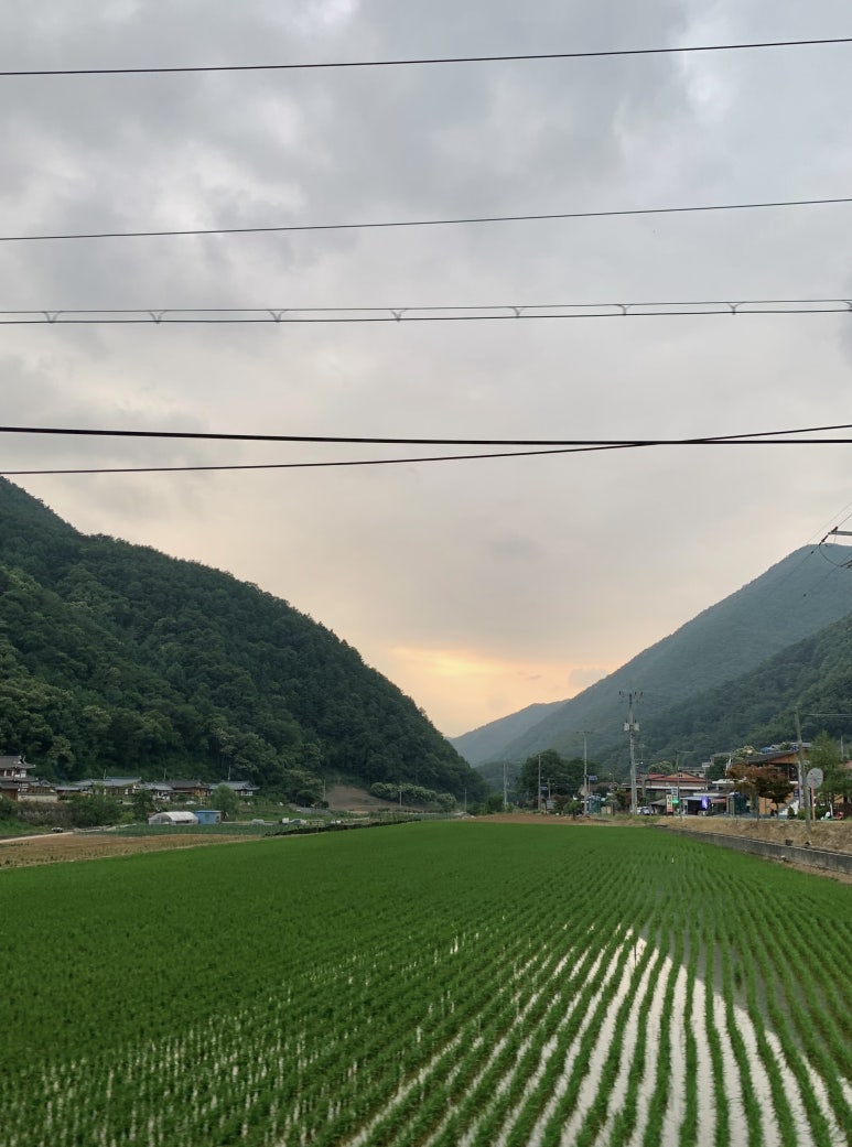 단양별빛한옥 이미지