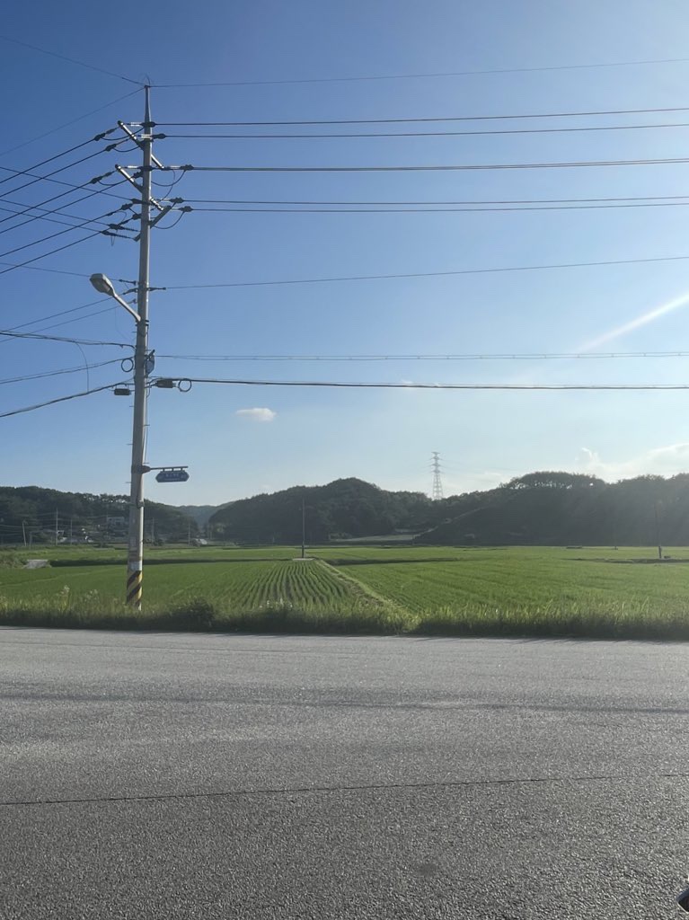 가마치통닭 광양중동점 이미지