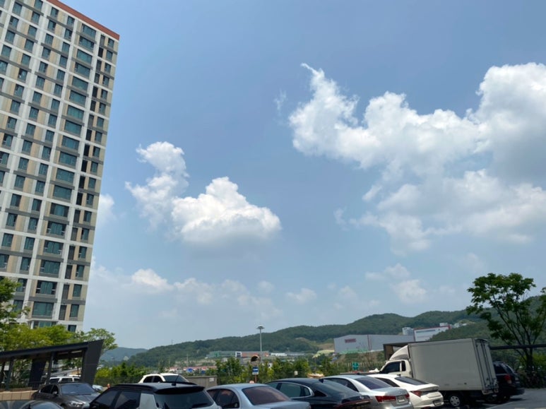 한숲시티 방향 이미지