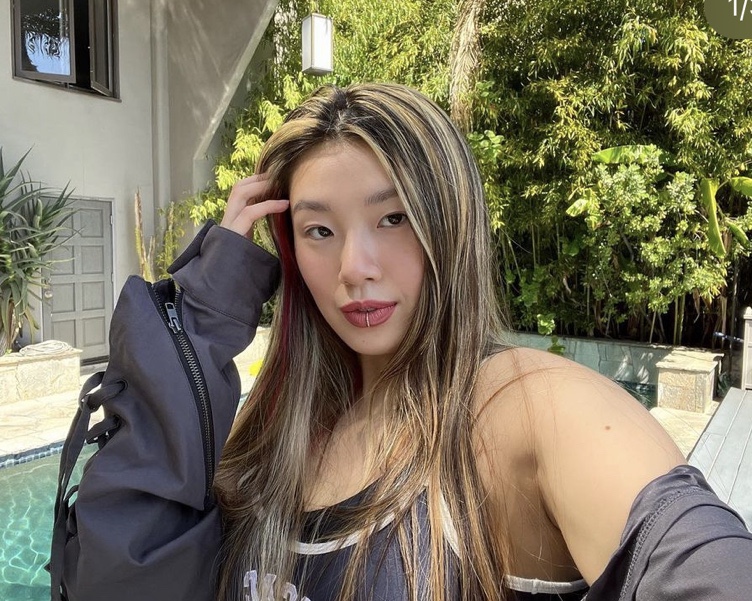 슈브로 이미지