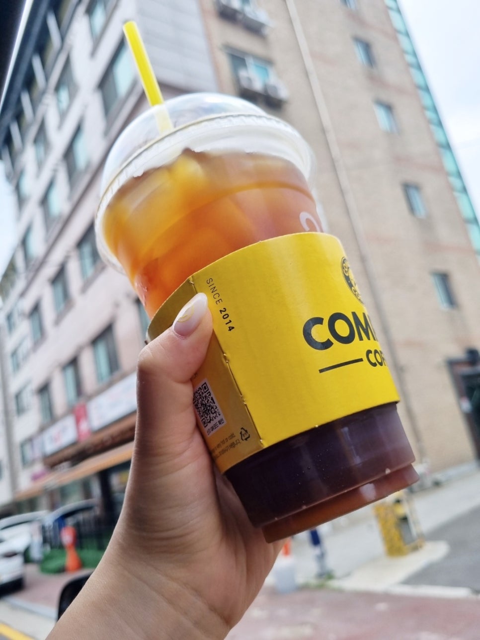 캣츠래쉬 이미지