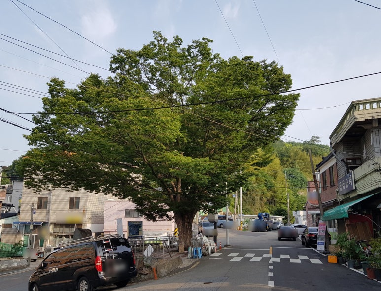 삼삼슈퍼 이미지