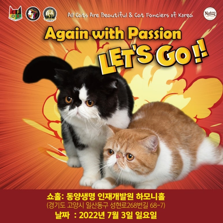 c.a그린 이미지