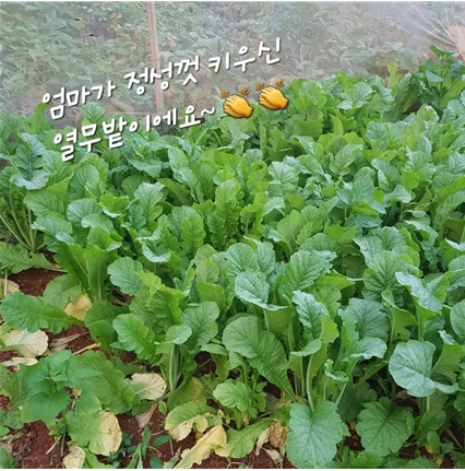 (주)맛드림푸드 이미지