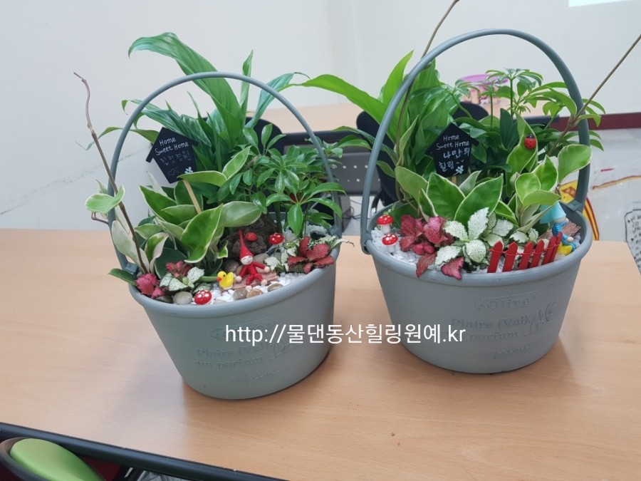예천힐링센타 이미지