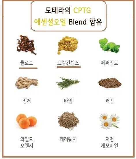 스타일키트 이미지
