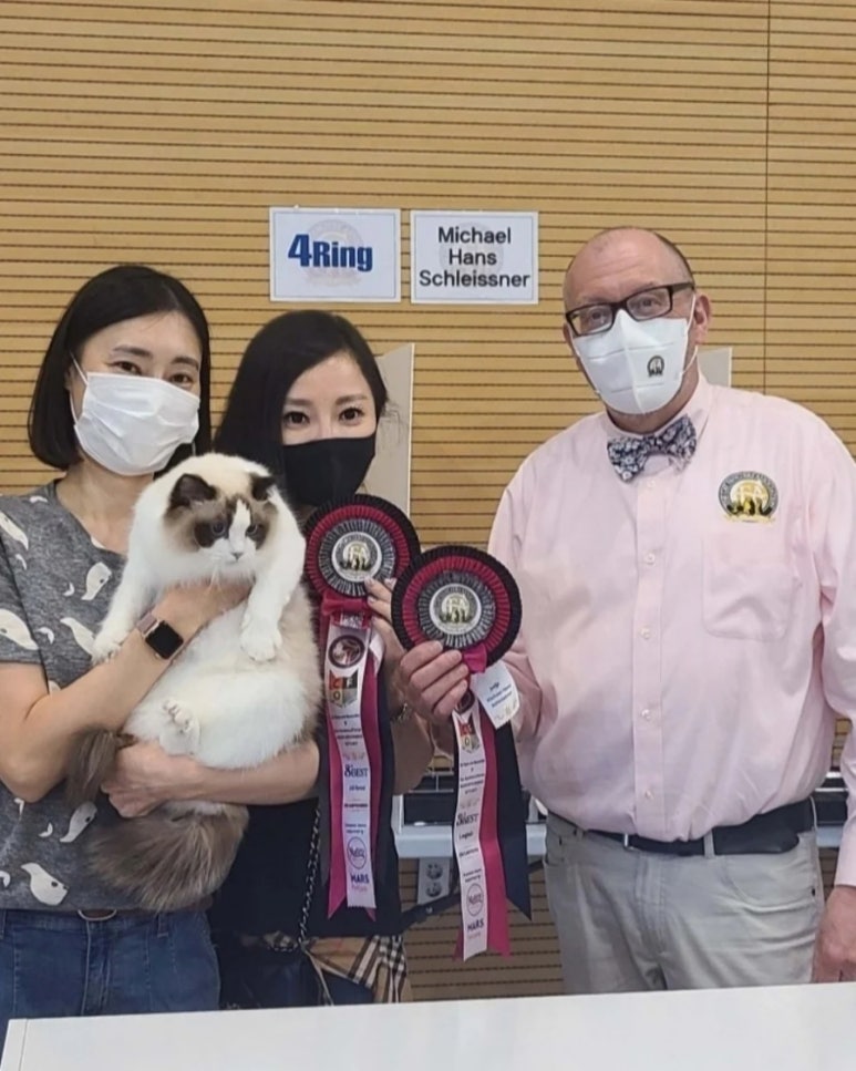 c.a그린 이미지