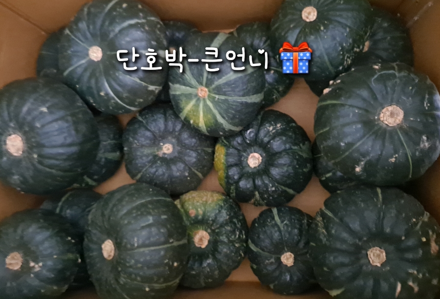 (주)정들 이미지