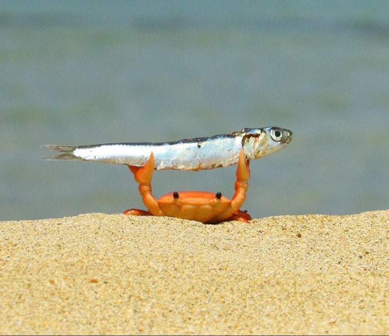 천외천 이미지