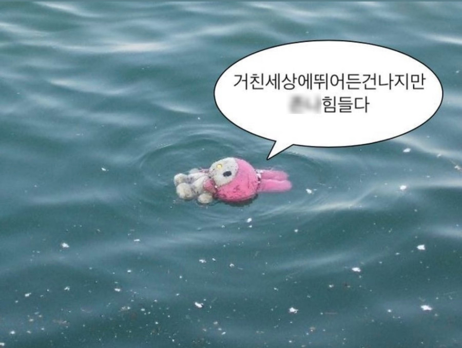 차앤클린 이미지